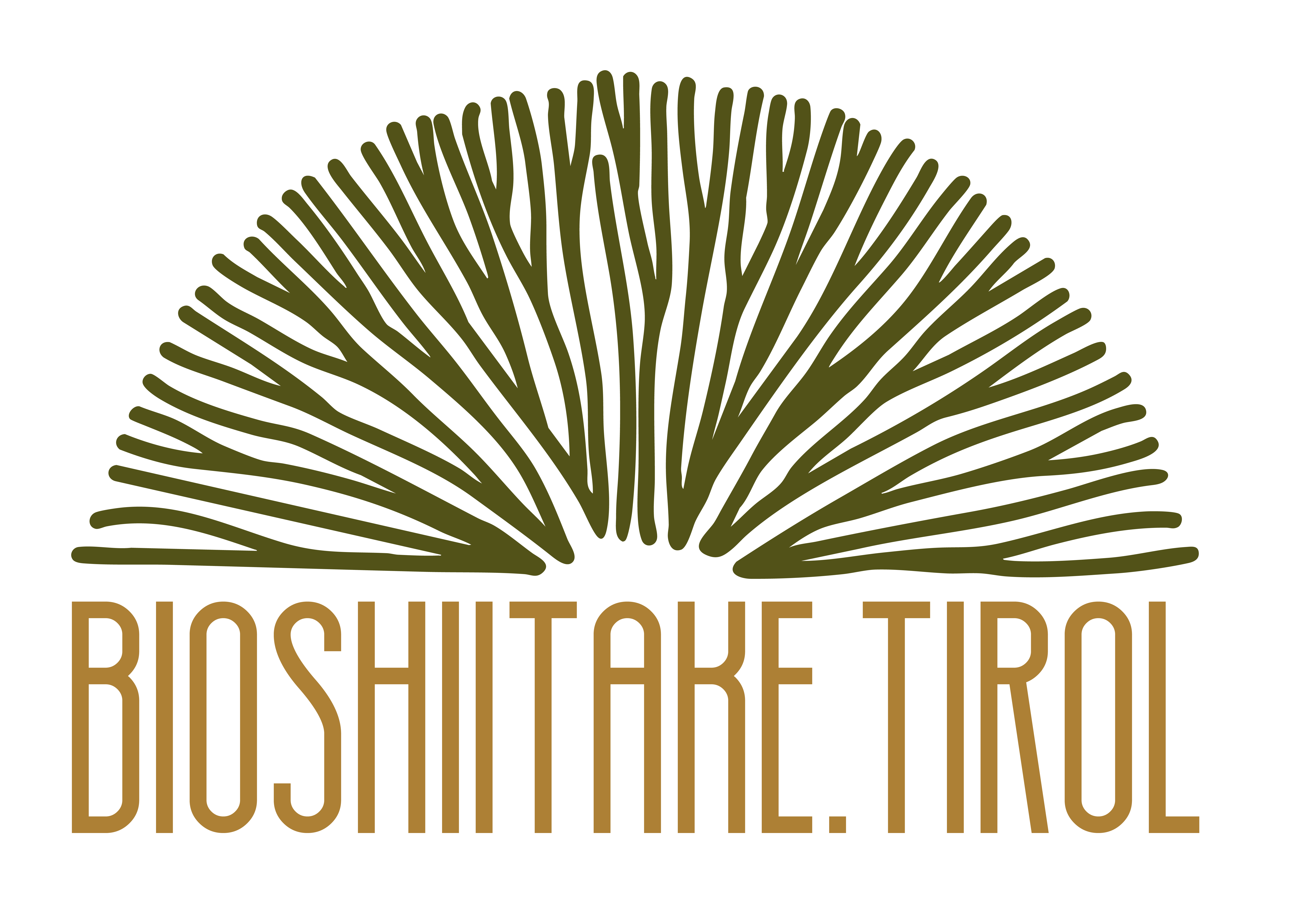 BioShiitake Tirol logo
